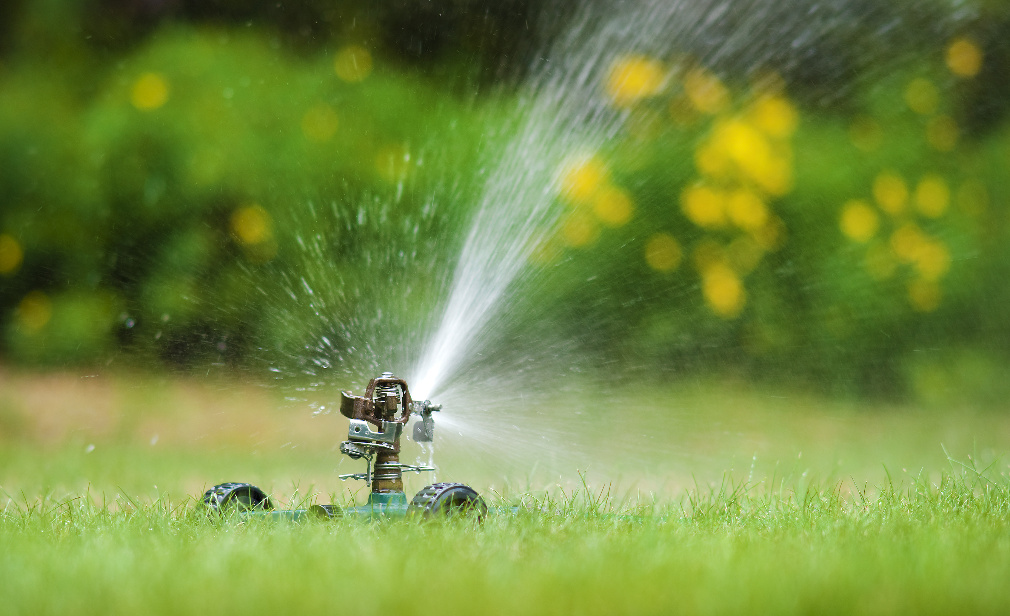 Rain Sensor & Smart Sprinklers Installation Legislation In Effect
